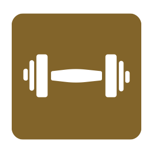 Fitness Center Icon